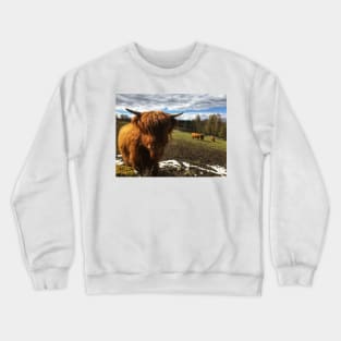 Scottish Highland Cattle Calf 1986 Crewneck Sweatshirt